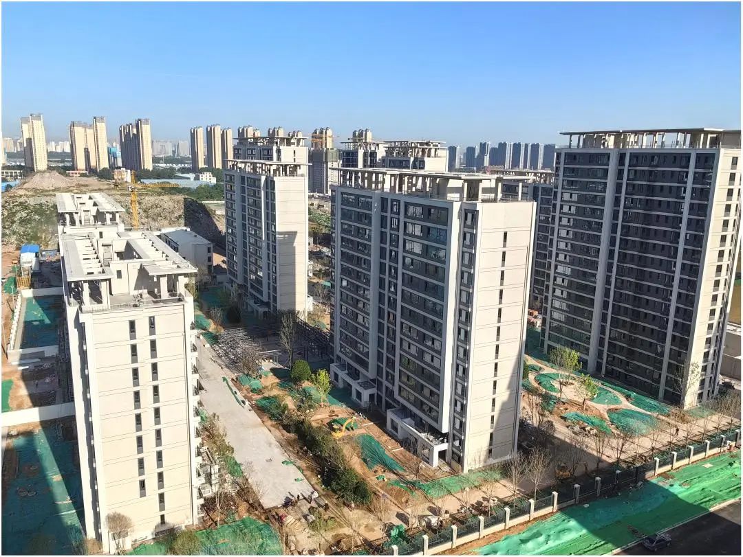 下载 (2).jpg
